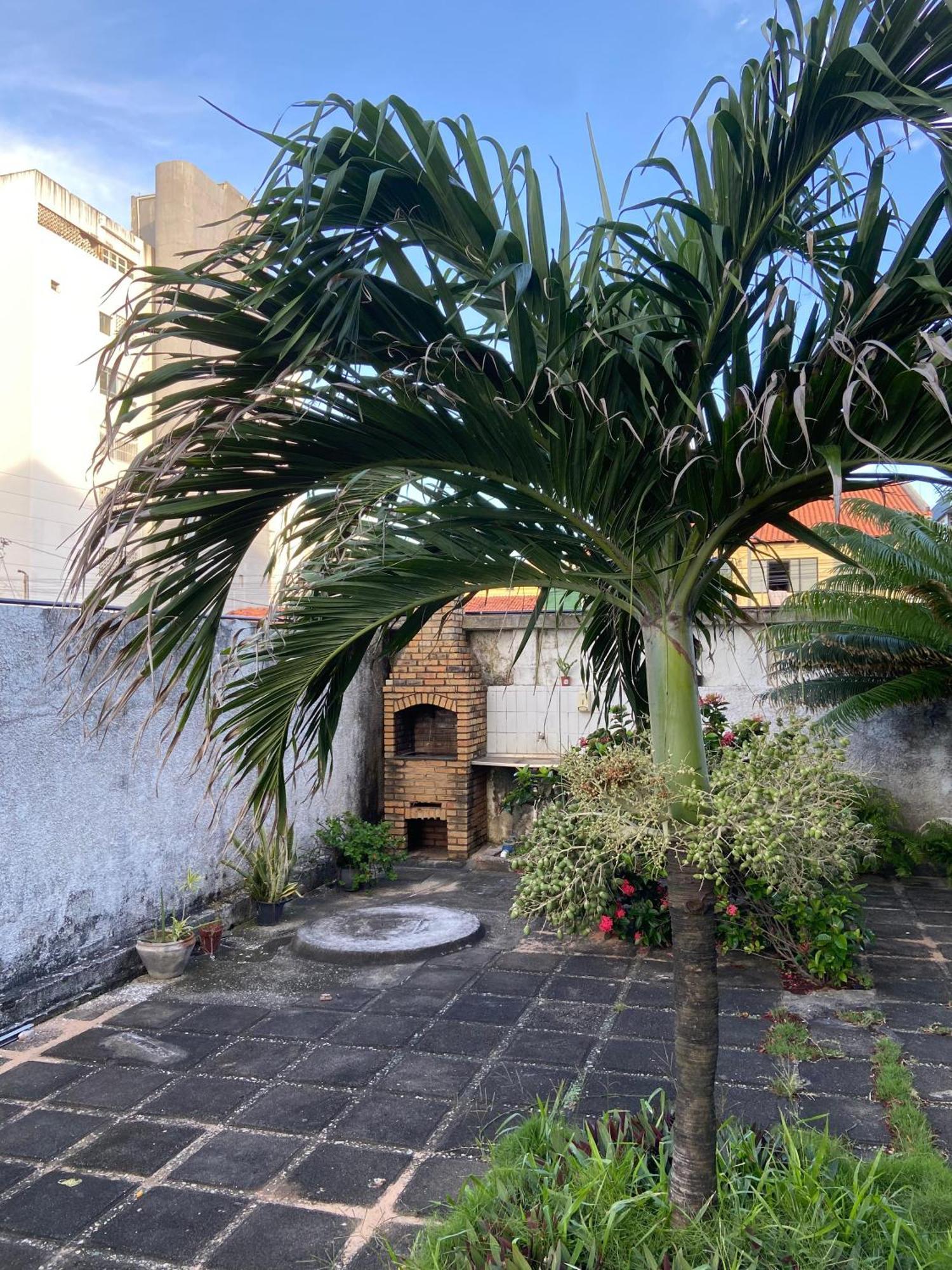 Apto Exclusivo, 200M Da Praia, Horario Flexivel 24 Horas Fortaleza  Luaran gambar